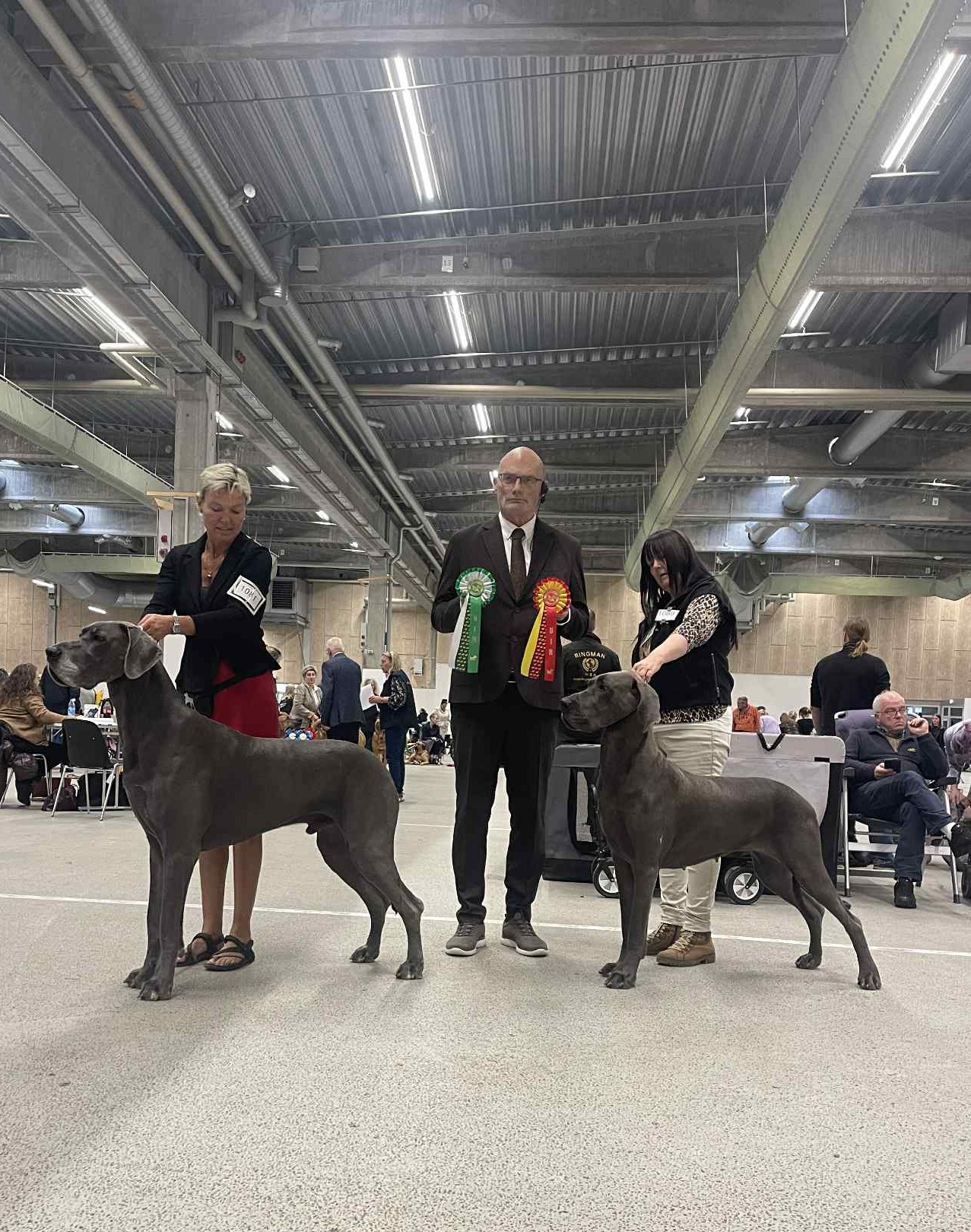Udstilling i Herning 2025 BIR Horsebjerg Way Of Life & BIM Horsebjerg Don`t Forget Me